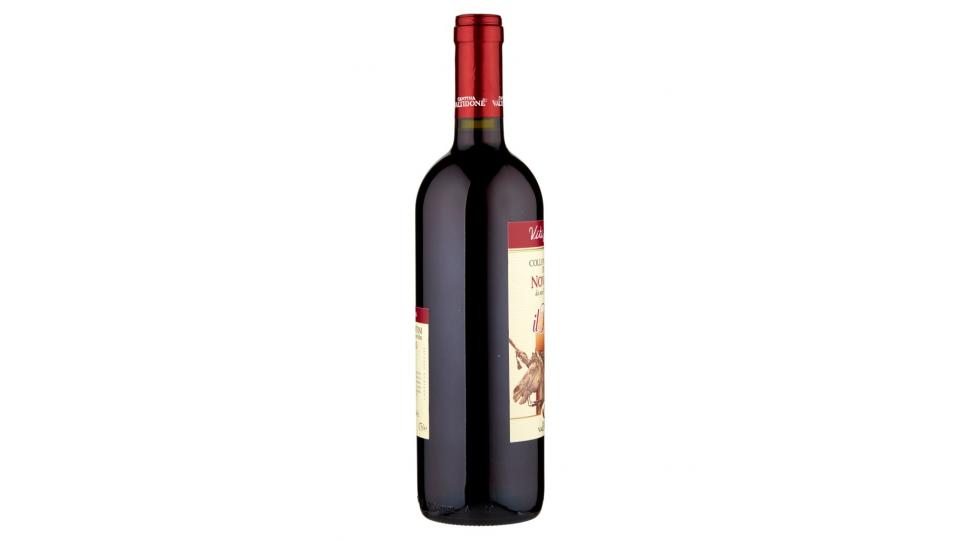 Viti & Vini il Duca Colli Piacentini Doc Novello 0,75 l