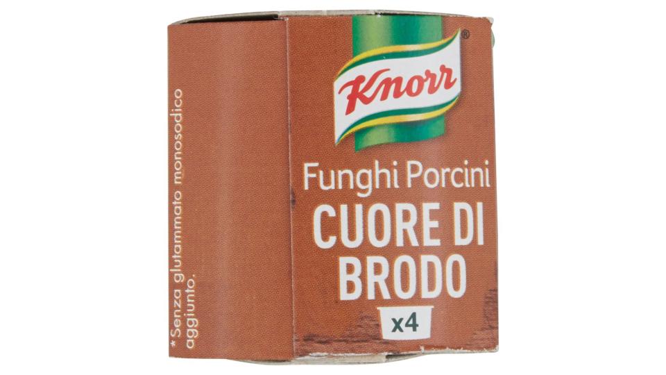 Cuore di Brodo Funghi Porcini