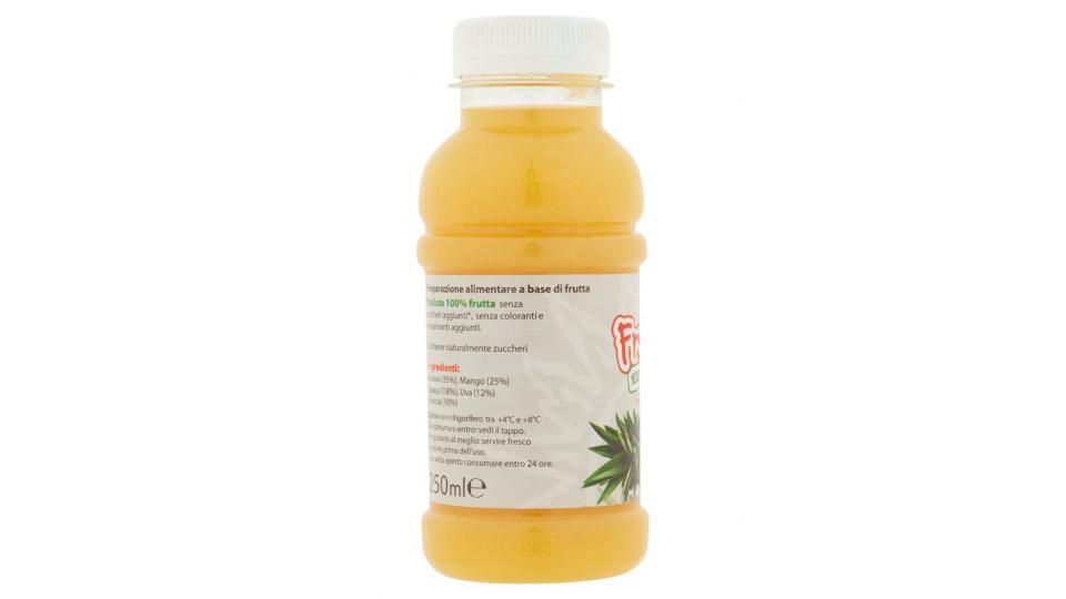 Frullato Ananas Mango Papaya