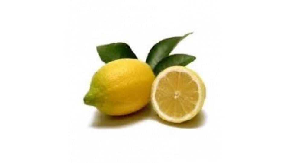 Limoni con Foglia Italia