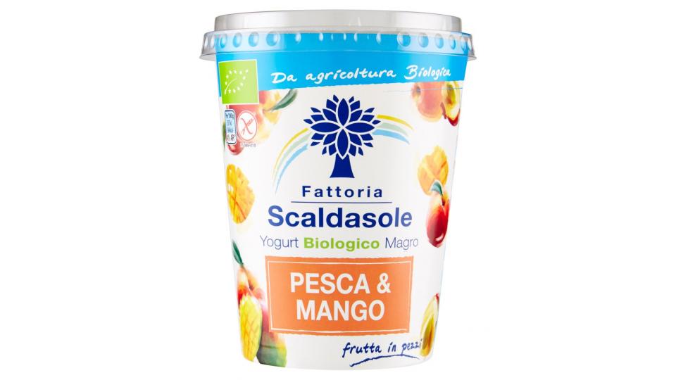 Yogurt Biologico Magro Pesca & Mango
