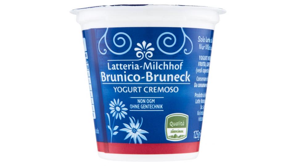 Yogurt Cremoso Frutta Frullata Limone