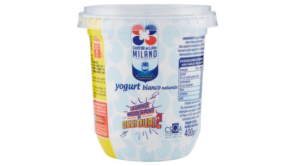 Yogurt Bianco Naturale