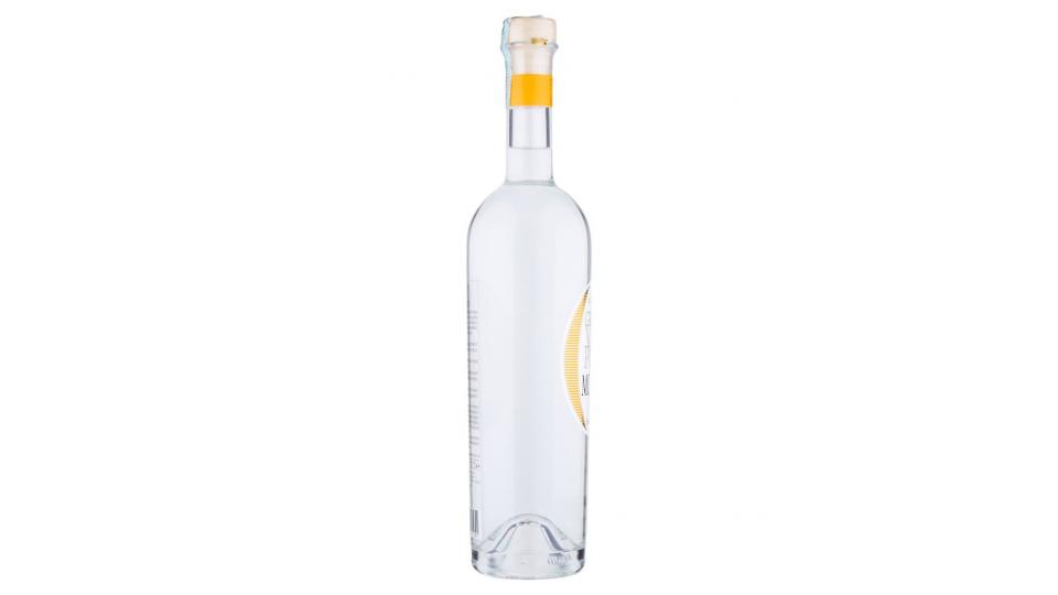 Grappa Vite Pura Moscato