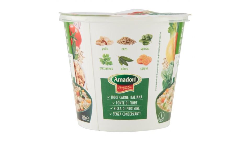 Amadori Zuppa con Verdure, Orzo & Pollo