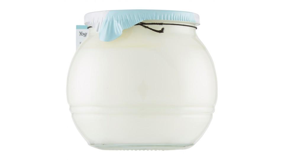 Granarolo Gusto di una volta Yogurt Intero Bianco