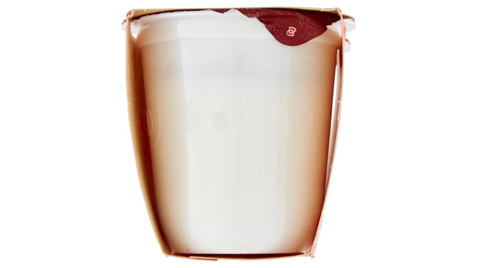 Yomo Yogurt Intero al Cocco