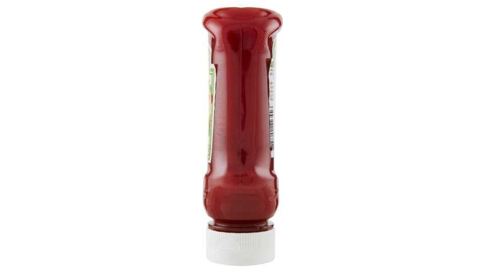 Heinz Tomato Ketchup Bio