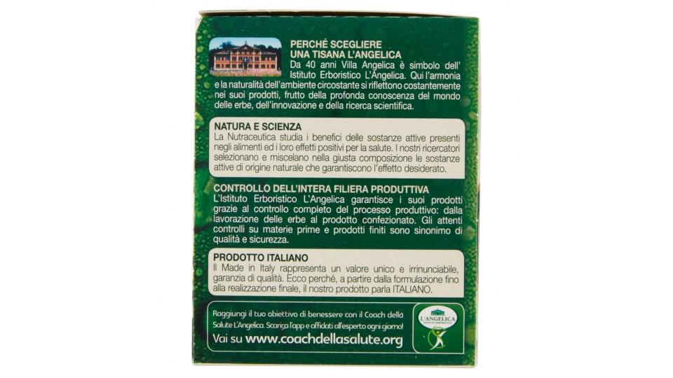 L'Angelica Nutraceutica Tisana a Freddo in Filtro Spirulina e Lime 18 Filtri