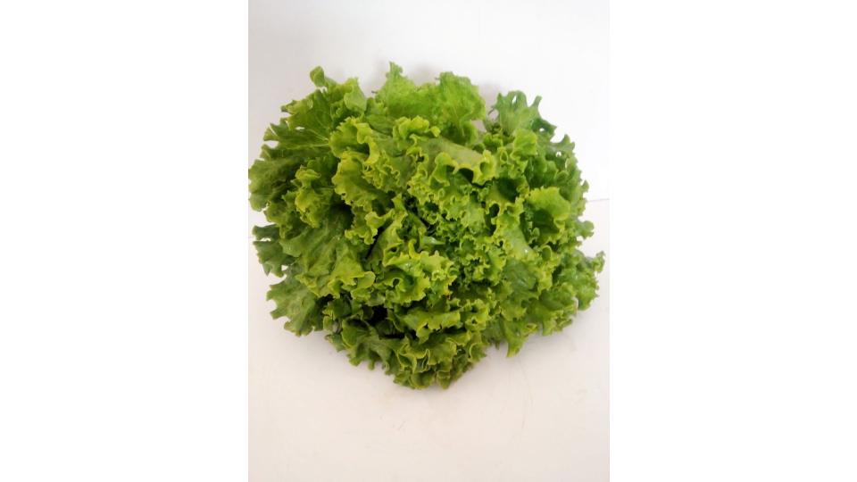 Insalata Gentile in Vassoio