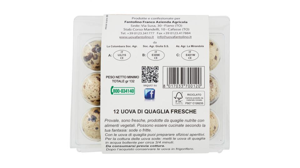 Azienda Agricola Fantolino Uova di Quaglia Fresche