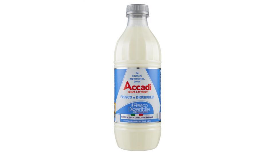 Accadì il Fresco Digeribile
