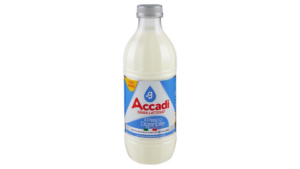 Accadì il Fresco Digeribile