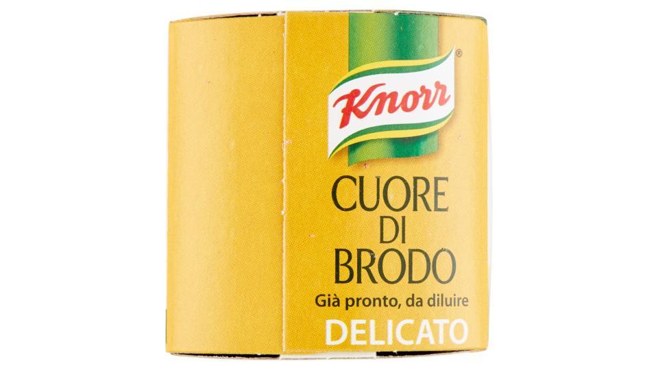 Knorr Cuore di Brodo Delicato