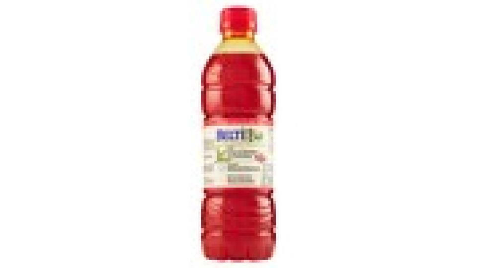 BELTÈ BIO con Infuso di THE' NERO con Frutti Rossi Bottiglia Piccola