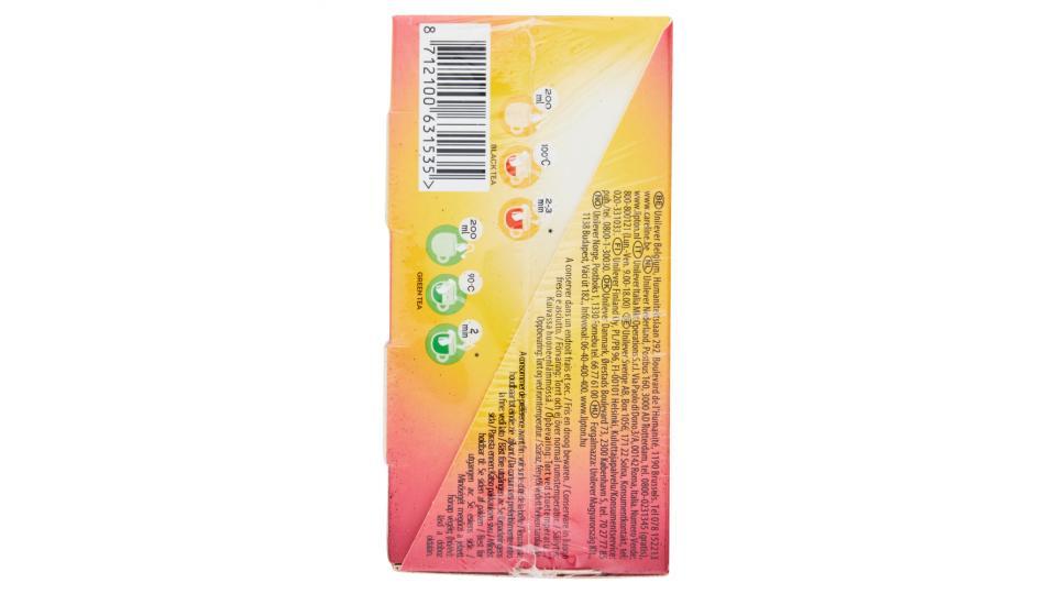 Lipton Pleasure Collection 20 (4x5) Filtri Pyramid