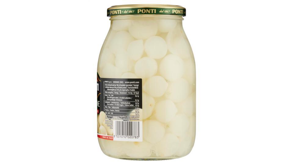 Ponti Cipolline all'Aceto di Vino