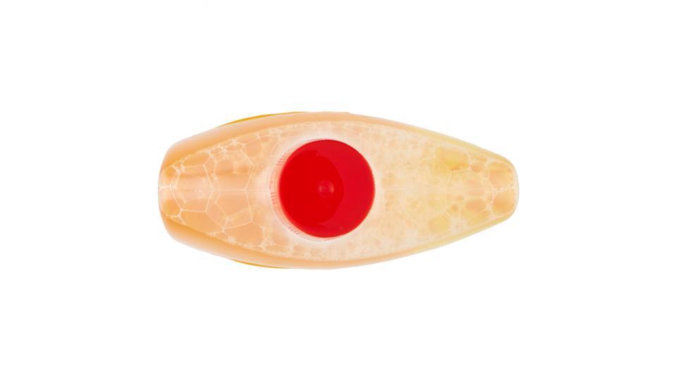 Lysoform Greggio