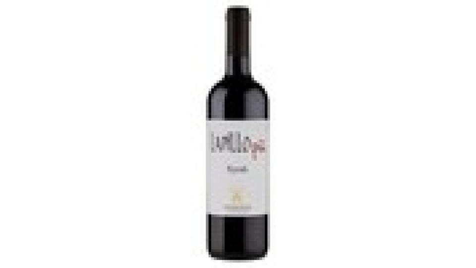 Fontana di Papa Lapillo più Lazio IGT Syrah