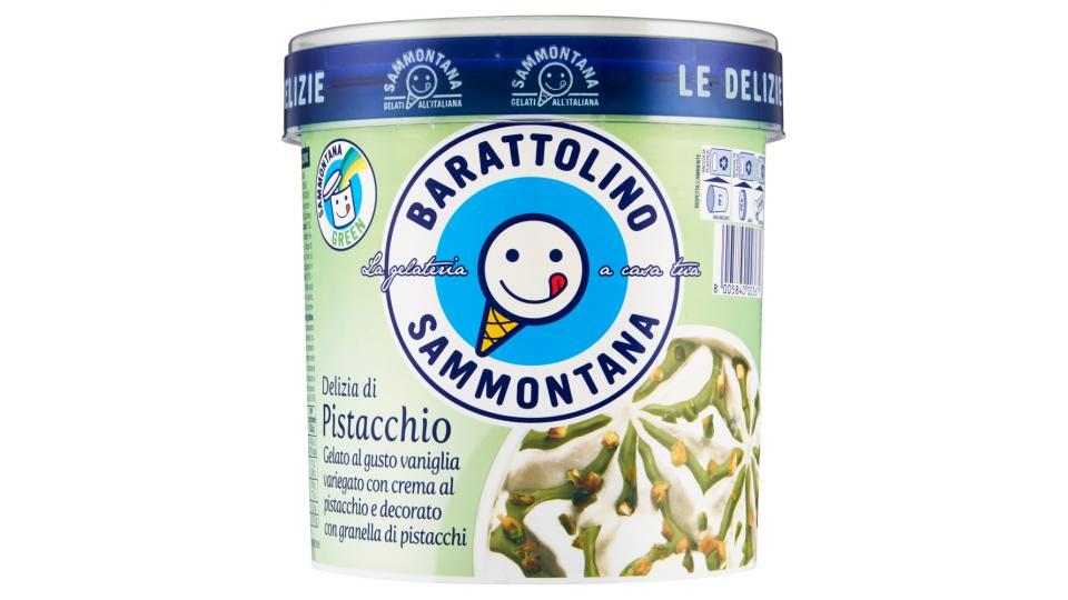 Sammontana Le Delizie Barattolino Delizia di Pistacchio