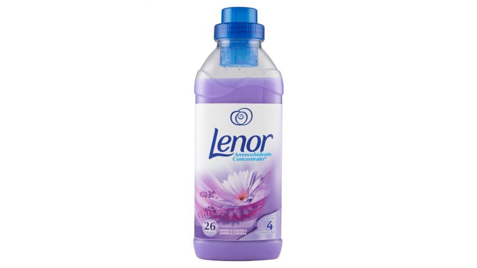 Lenor Ammorbidente Concentrato Lavanda & Camomilla 26 Lavaggi