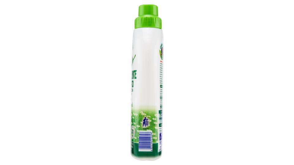 Chanteclair Vert Ammorbidente Concentrato Eucalipto