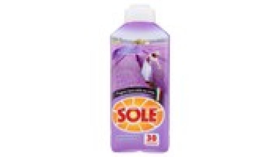 Sole Ammorbidente Concentrato Lavanda della Toscana