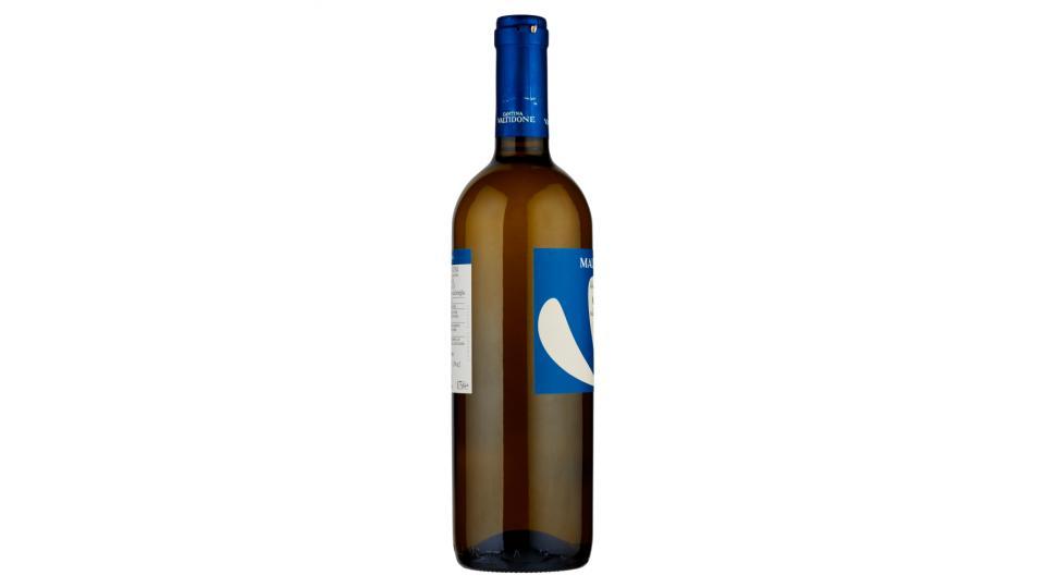 Cantina Valtidone Viti&Vini Malvasia Colli Piacentini D.O.C.