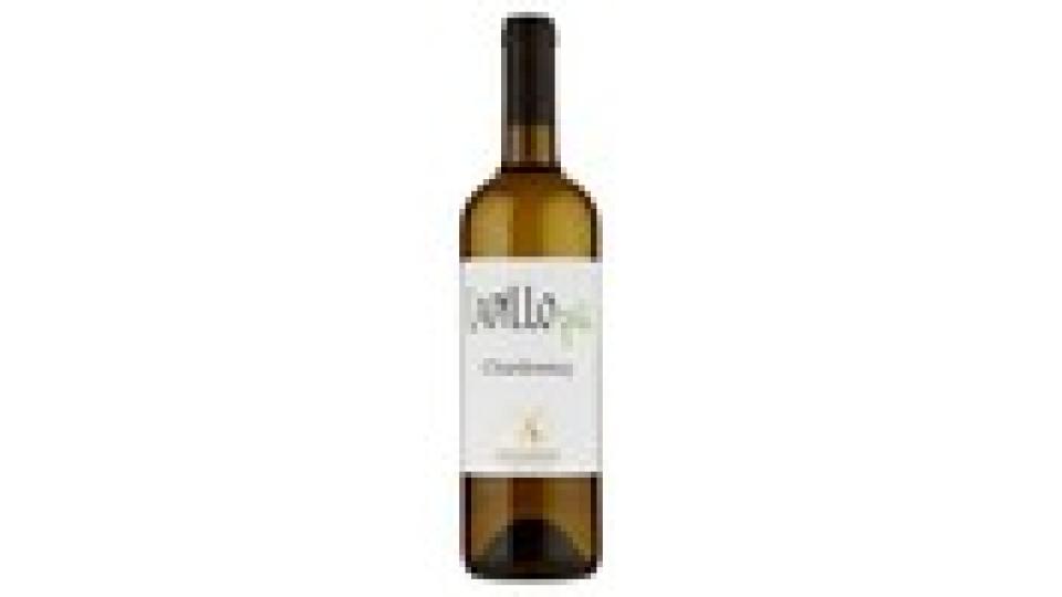 Fontana di Papa Lapillo più Lazio IGT Chardonnay