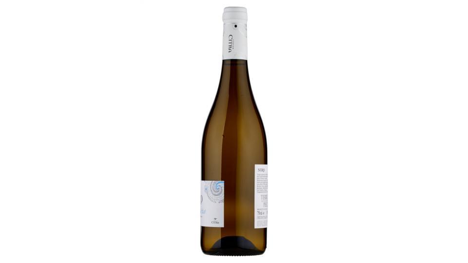 Codice Citra Niro Pecorino - Terre di Chieti IGP