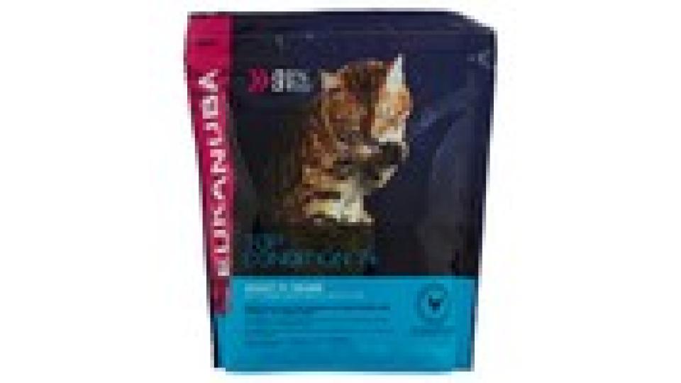 Eukanuba Adulto 7+ Anni Top Condition 7+