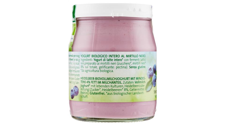 Sterzing Vipiteno Bio Yogurt al mirtillo nero