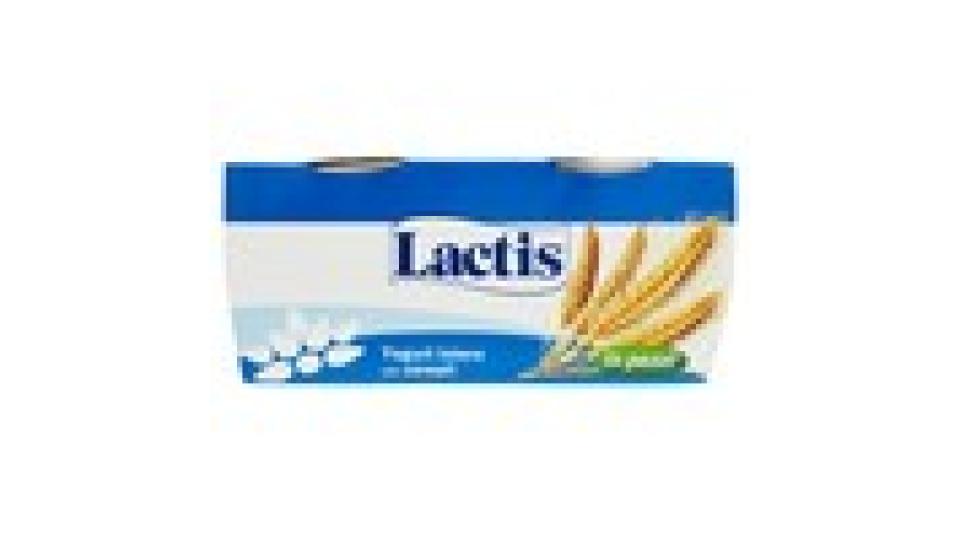 Lactis Yogurt intero con cereali in pezzi