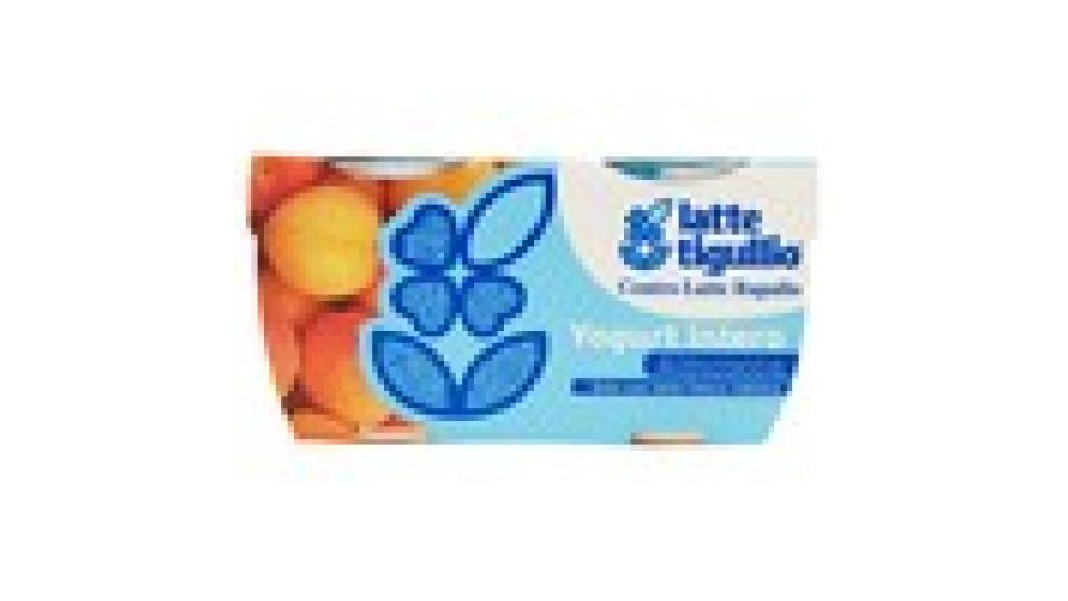 latte tigullio Yogurt Intero Albicocca