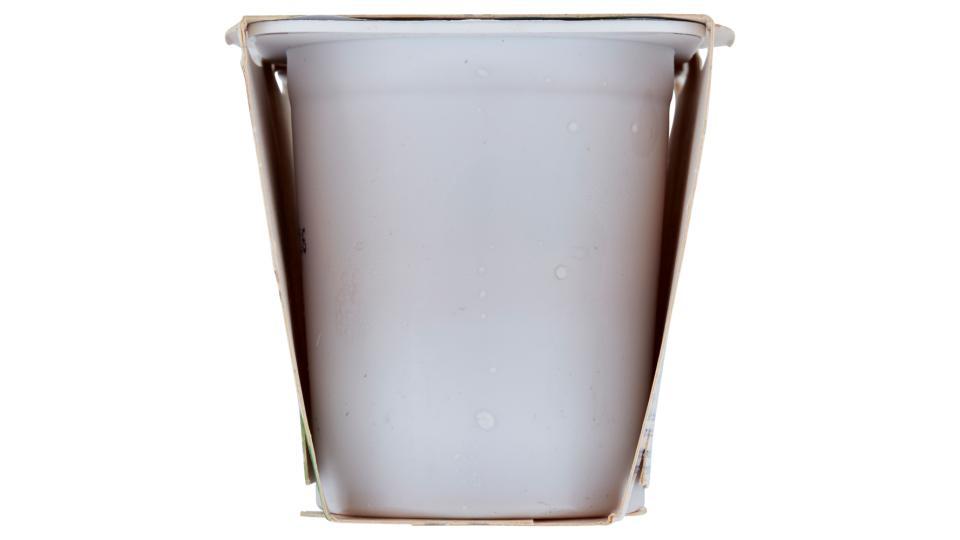 Valsoia Bontà e Salute Yosoi caffè