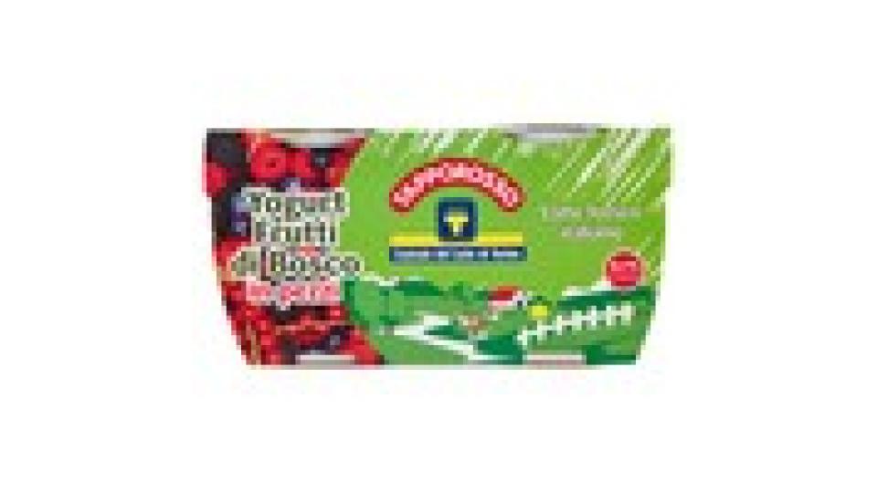 Centrale del Latte di Torino Tapporosso Yogurt Magro Frutti di Bosco in pezzi
