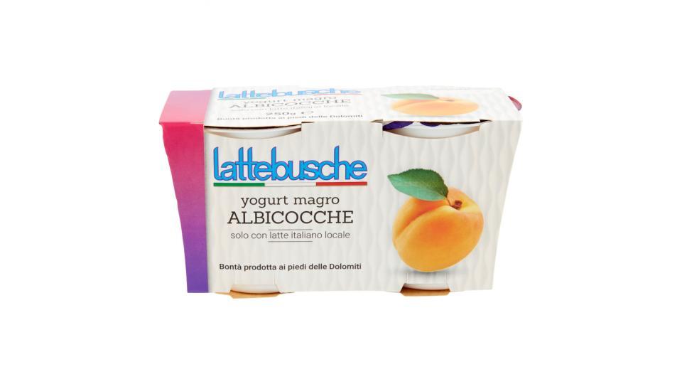 Lattebusche Yogurt magro all'albicocca