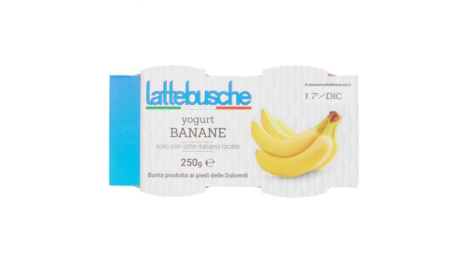 Lattebusche Yogurt alla banana