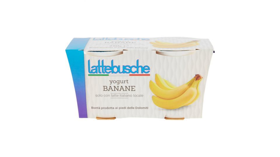 Lattebusche Yogurt alla banana