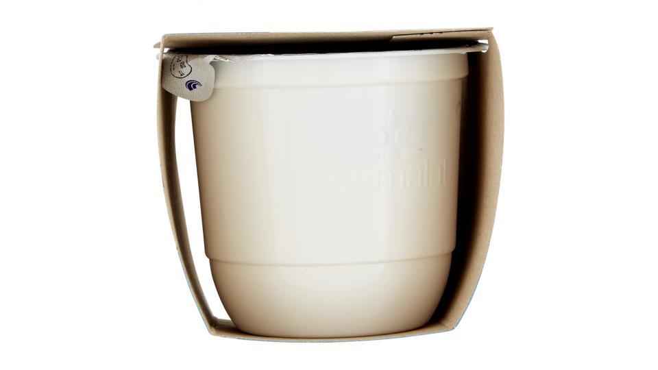 parmalat Yogurt Vellutato Banana