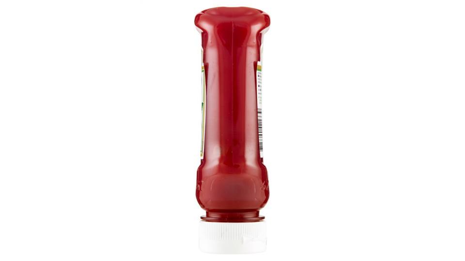 Heinz Tomato Ketchup