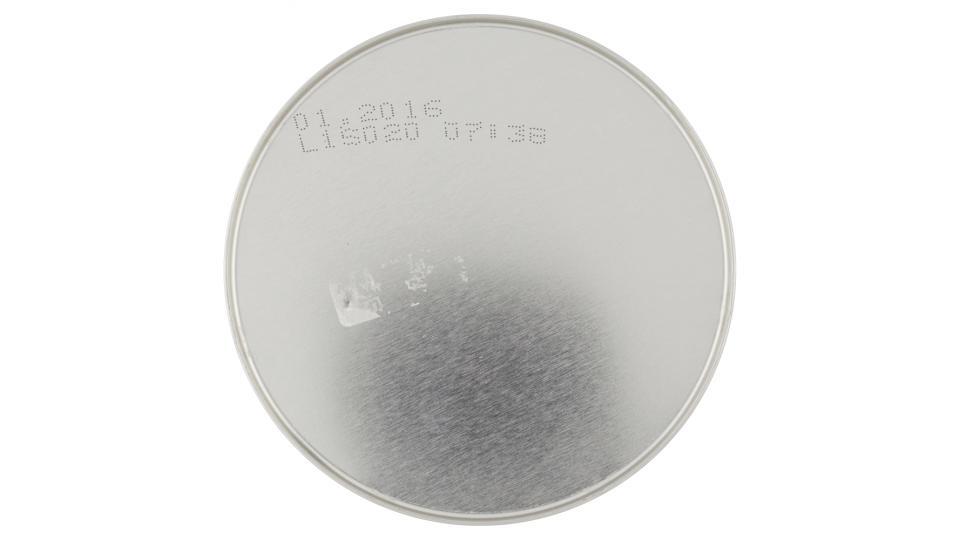 cameo Arachidi lattina