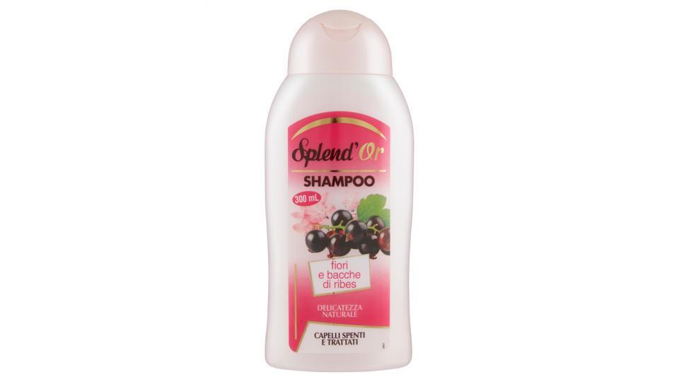Splend'Or Shampoo fiori e bacche di ribes capelli spenti e trattati