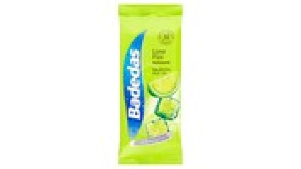 Badedas Lime fizz salviettine multiuso