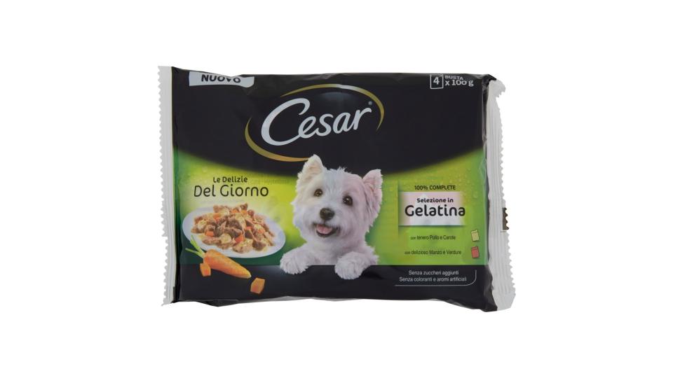 Cesar Le Delizie del Giorno Selezione in Gelatina