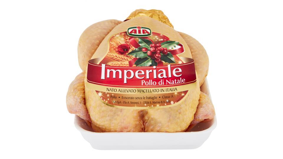 Aia Imperiale Pollo di Natale