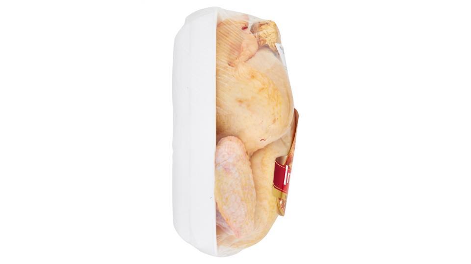 Aia Imperiale Pollo di Natale