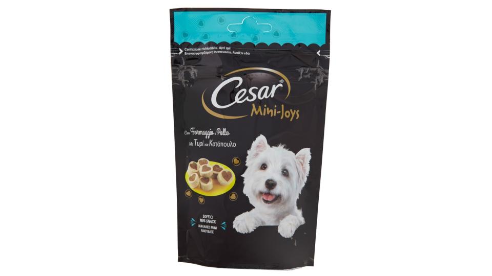 Cesar Mini-Joys con  Formaggio e Pollo