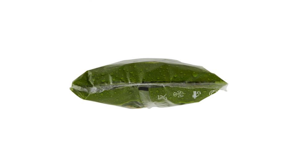 Ortopronto da cuocere cicoria
