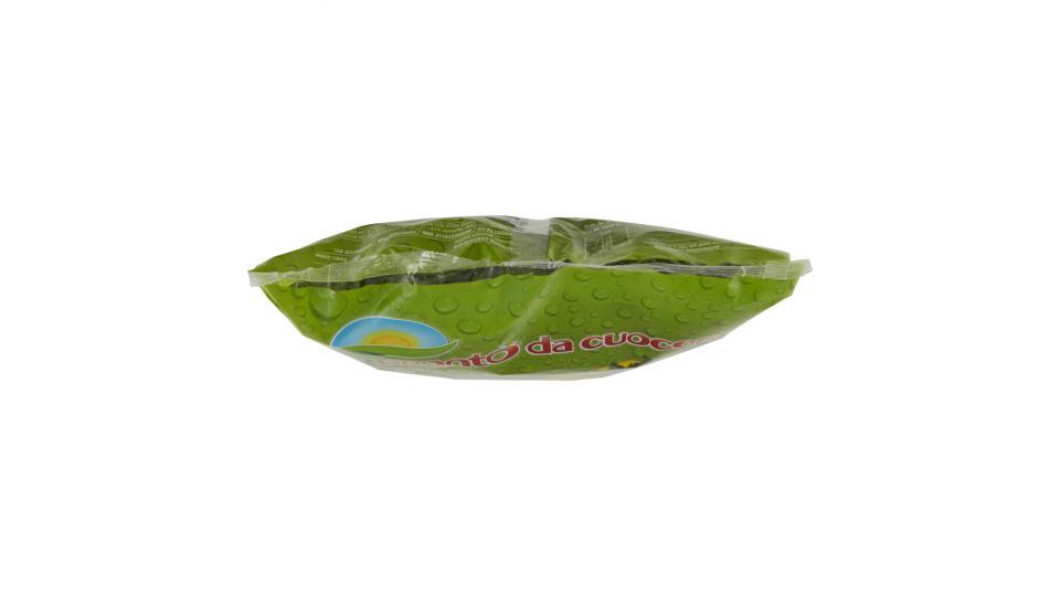 Ortopronto da cuocere cicoria